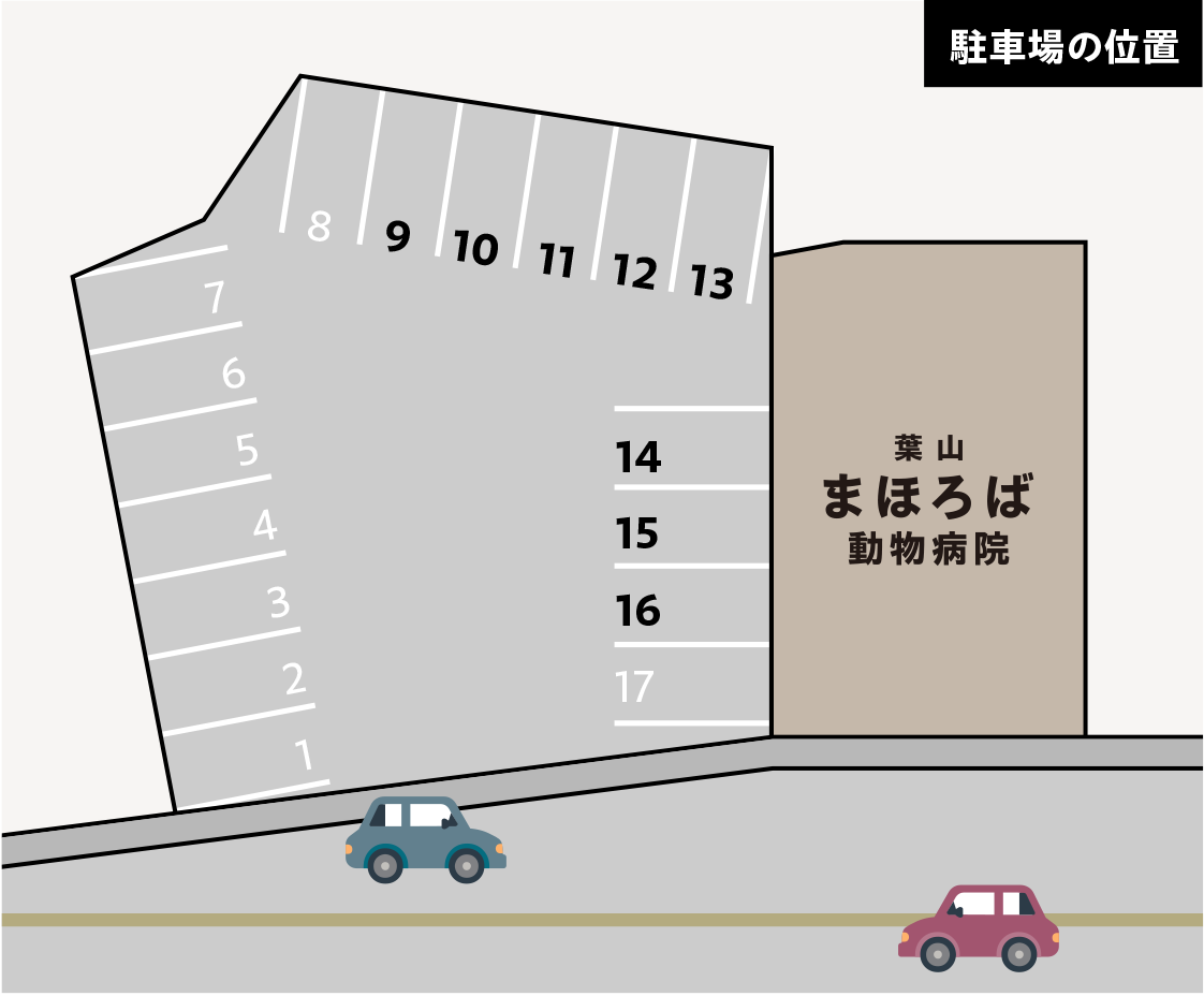 駐車場の位置