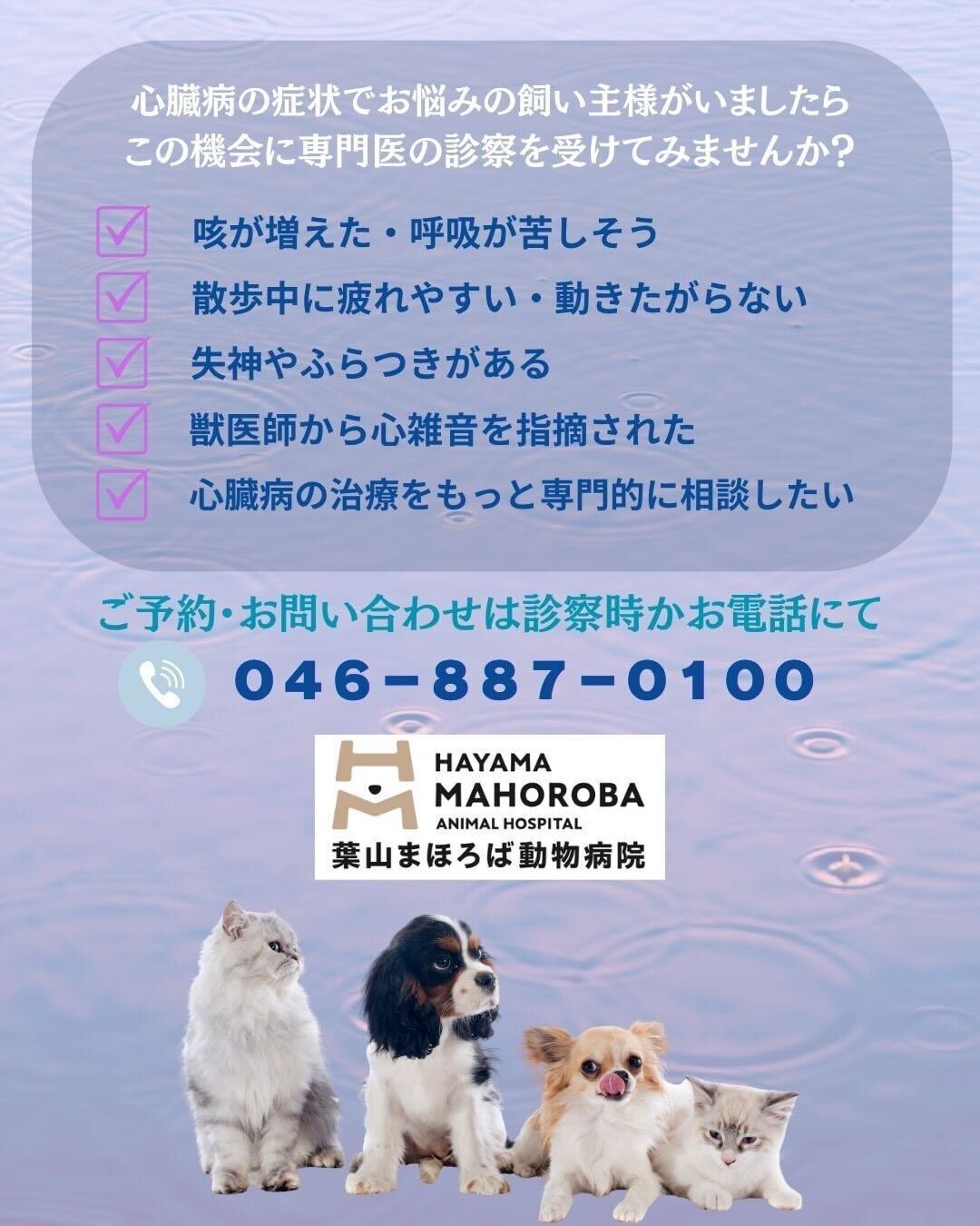 循環器専門外来