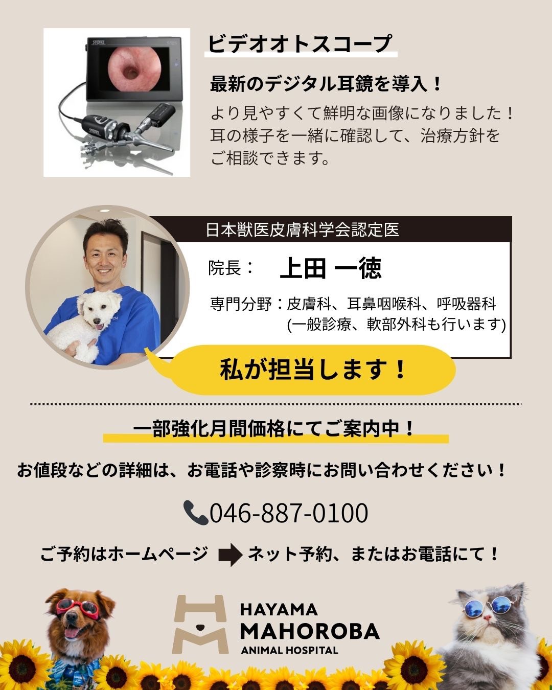 皮膚科＆耳鼻咽喉科 夏の予防強化月間