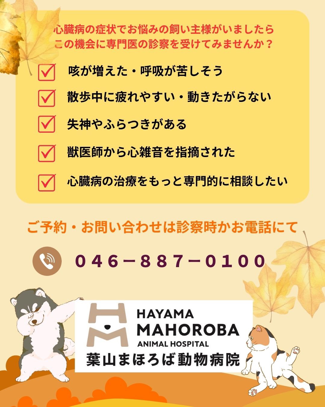 11月 循環器専門外来のお知らせ