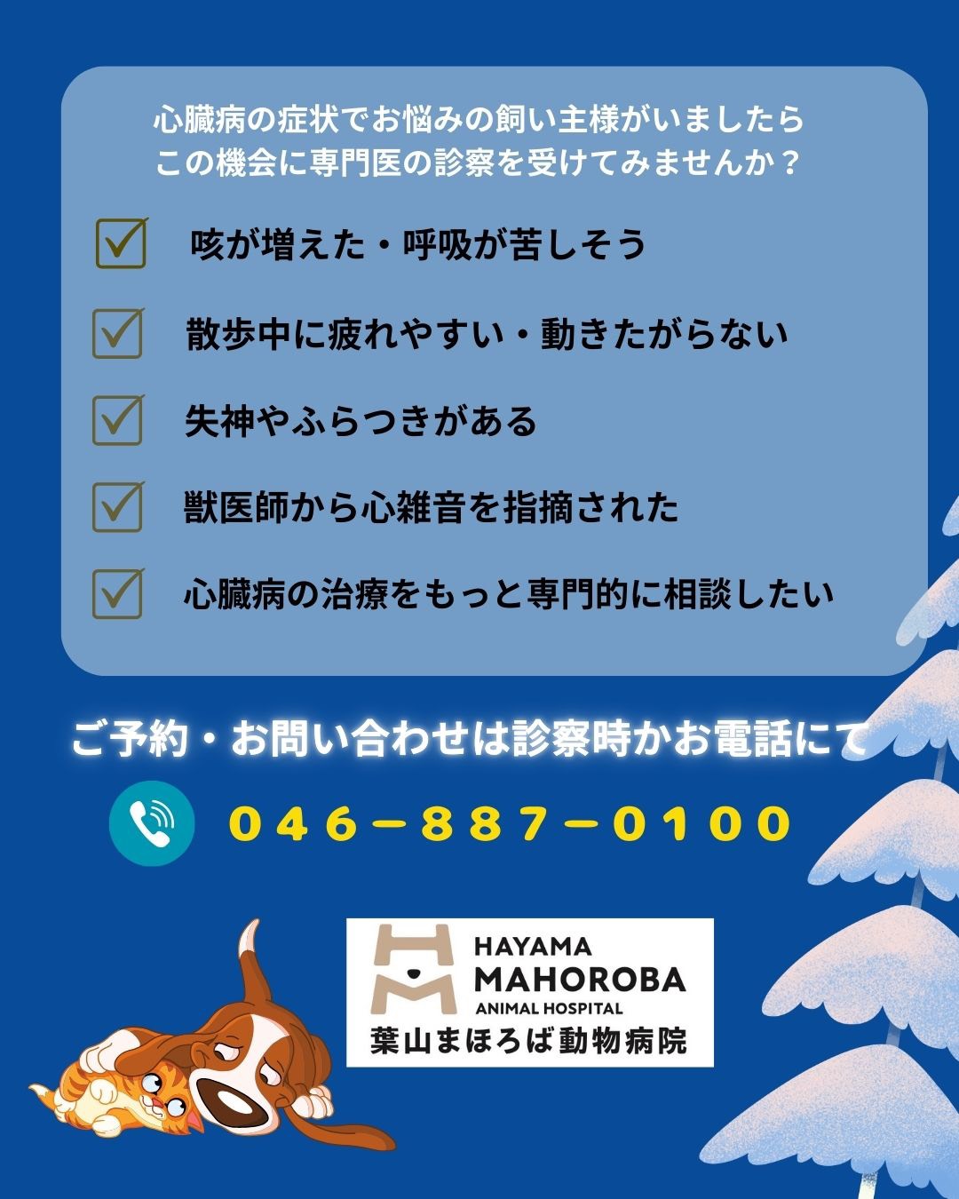 1月の循環器専門外来のお知らせ2